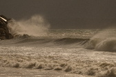 Enlarge photo 204