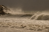 Enlarge photo 205