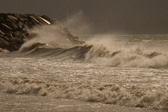 Enlarge photo 206