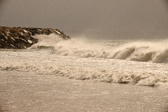 Enlarge photo 207