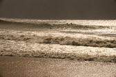 Enlarge photo 209
