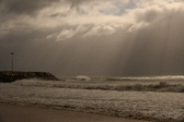 Enlarge photo 217