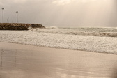Enlarge photo 223