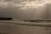 Enlarge photo 225