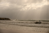 Enlarge photo 229