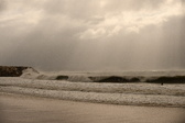 Enlarge photo 231