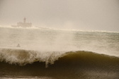 Enlarge photo 237
