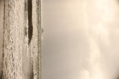 Enlarge photo 247