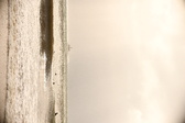 Enlarge photo 248