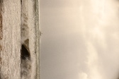 Enlarge photo 251