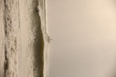Enlarge photo 253