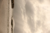Enlarge photo 263