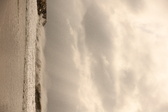 Enlarge photo 264