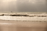 Enlarge photo 265