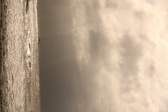 Enlarge photo 272