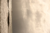 Enlarge photo 273