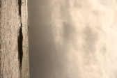 Enlarge photo 274