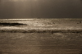 Enlarge photo 275