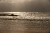 Enlarge photo 276