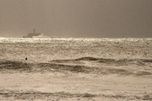 Enlarge photo 277