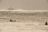 Enlarge photo 286