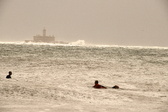 Enlarge photo 299