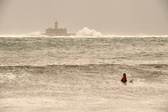 Enlarge photo 305