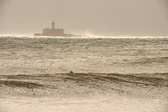 Enlarge photo 310