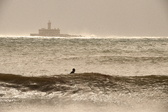 Enlarge photo 311