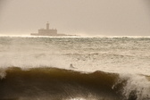 Enlarge photo 313