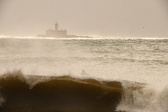 Enlarge photo 314