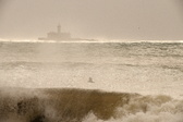 Enlarge photo 315