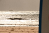 Enlarge photo 316