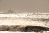 Enlarge photo 317