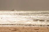 Enlarge photo 320