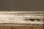 Enlarge photo 321