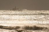 Enlarge photo 323