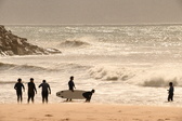 Enlarge photo 332