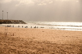 Enlarge photo 334