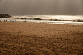 Enlarge photo 335