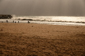 Enlarge photo 336