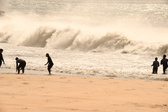 Enlarge photo 337