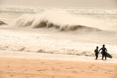 Enlarge photo 339
