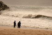 Enlarge photo 341