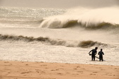 Enlarge photo 342