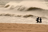Enlarge photo 343