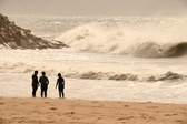 Enlarge photo 344
