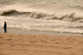Enlarge photo 346