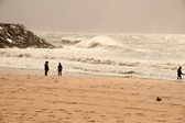 Enlarge photo 348