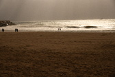 Enlarge photo 355